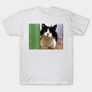 Tomcat Teddi T-Shirt